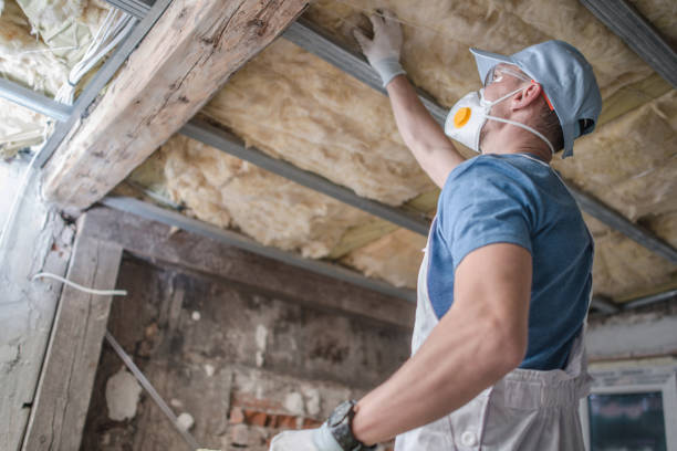 Best Commercial Insulation in Mcqueeney, TX